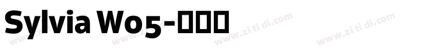 Sylvia W05字体转换
